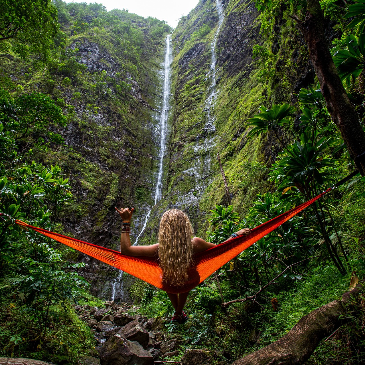 The Powerhouse of Biodiversity: Exploring the Amazon Rainforest